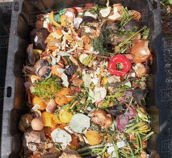 Leftovers in compost container Stock Photo Dissolve