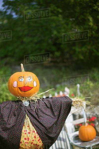Scarecrow with Pumpkin Head - Stock Photo - Dissolve