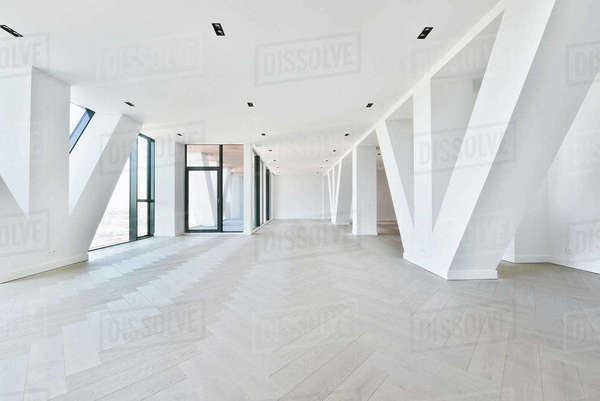 Stunning Penthouse Apartment Flooring Options image