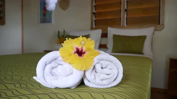 Tranquil Hotel Room With Minimalistic Decoration To Unwind On