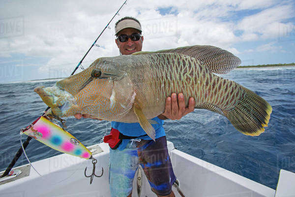 FISHERMAN NAPOLEON　CTR 6ft Fisherman holding a fresh caught Napoleon Wrasse (Cheilinus