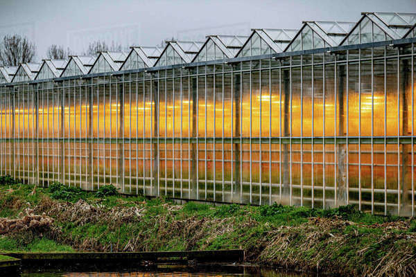 Greenhouse Glow Maxi main image 1