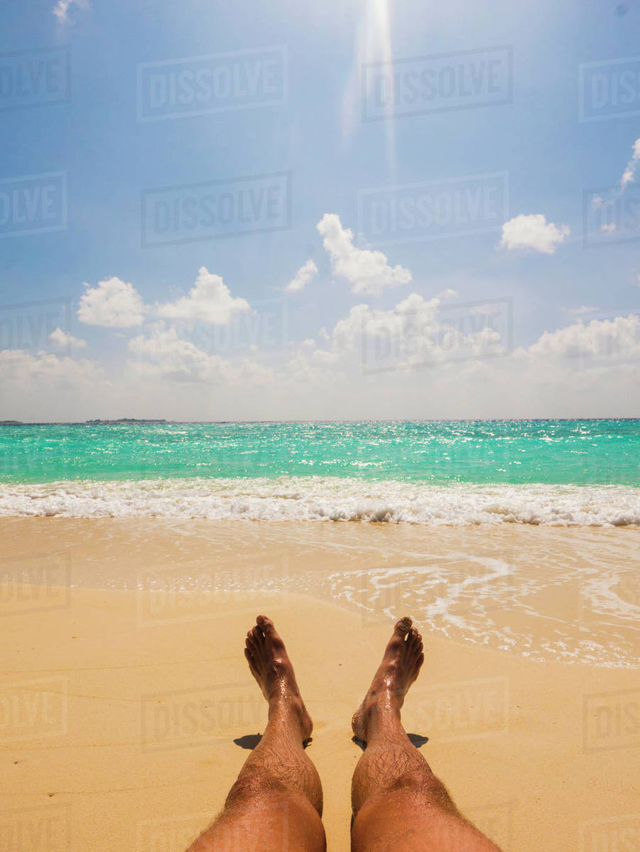 Free Tropical Beach Wallpaper Beach Starfish Tropical
