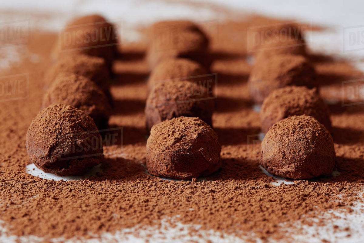 Chocolate truffles with cocoa powder Stock Photo Dissolve