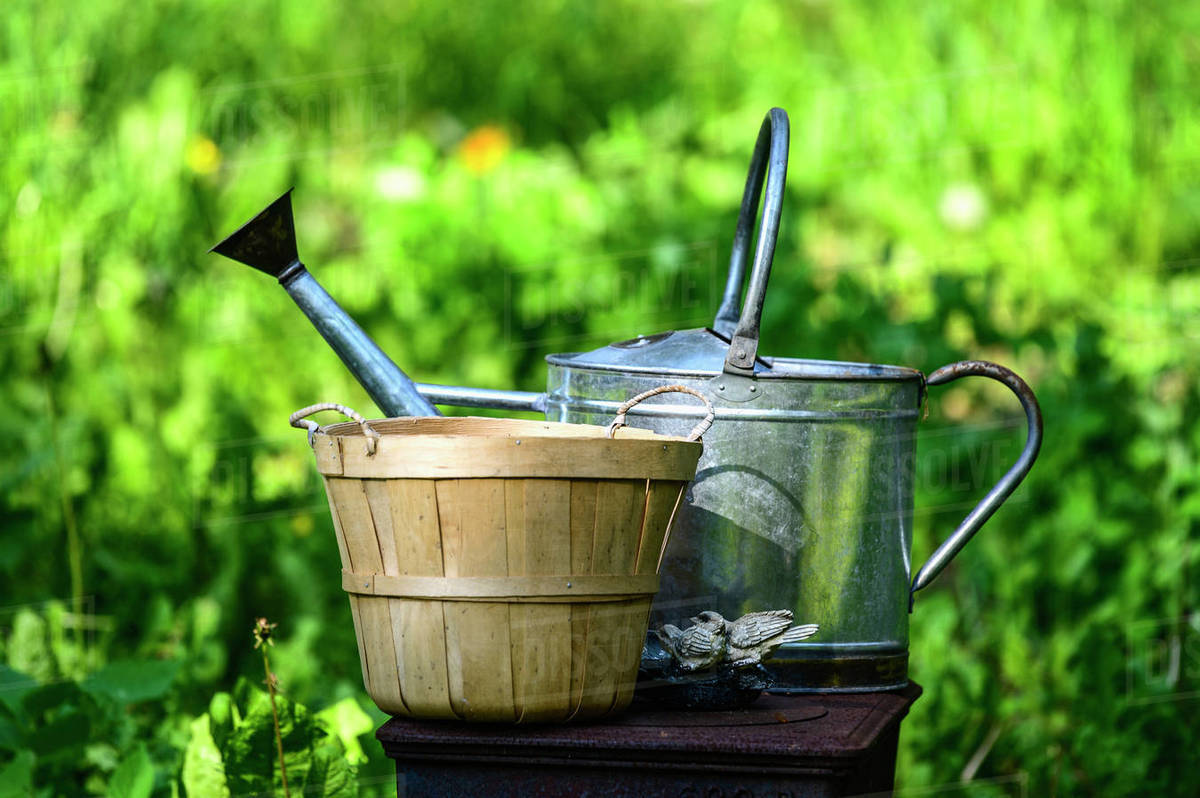 Watering can and wicker basket Stock Photo Dissolve