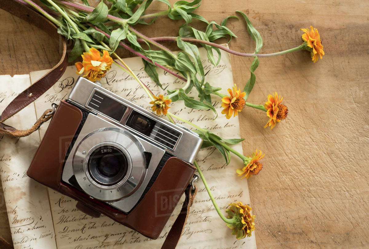 Studio shot of antique camera with flowers Stock Photo Dissolve