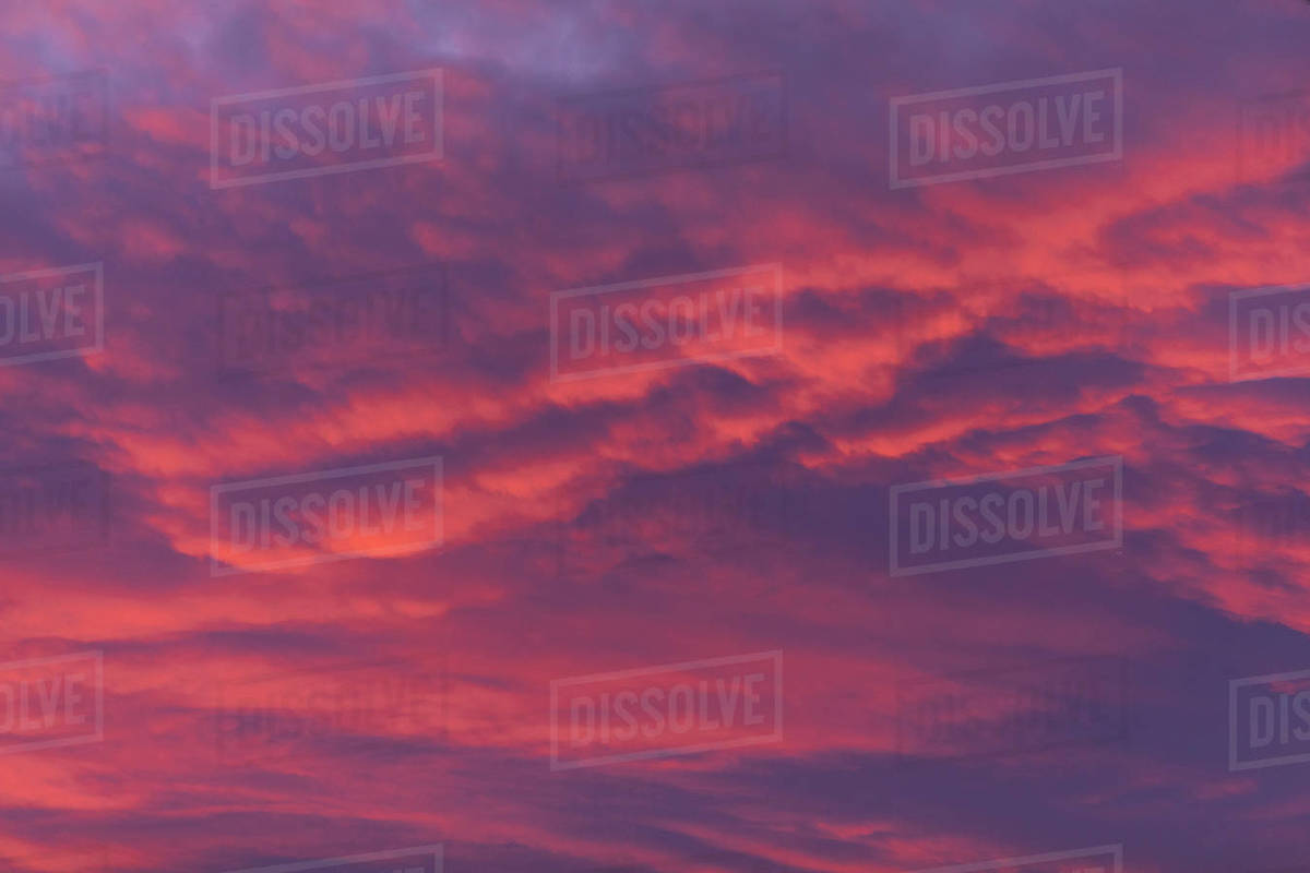 Pink clouds at sunset Stock Photo Dissolve