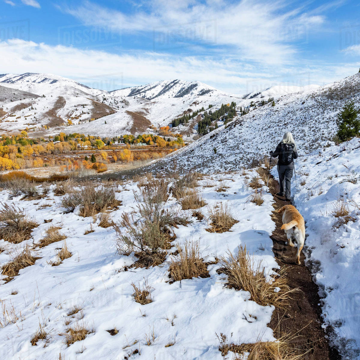 USA, Idaho, Ketchum, Hiker with golden labrador on snowy trail near Sun