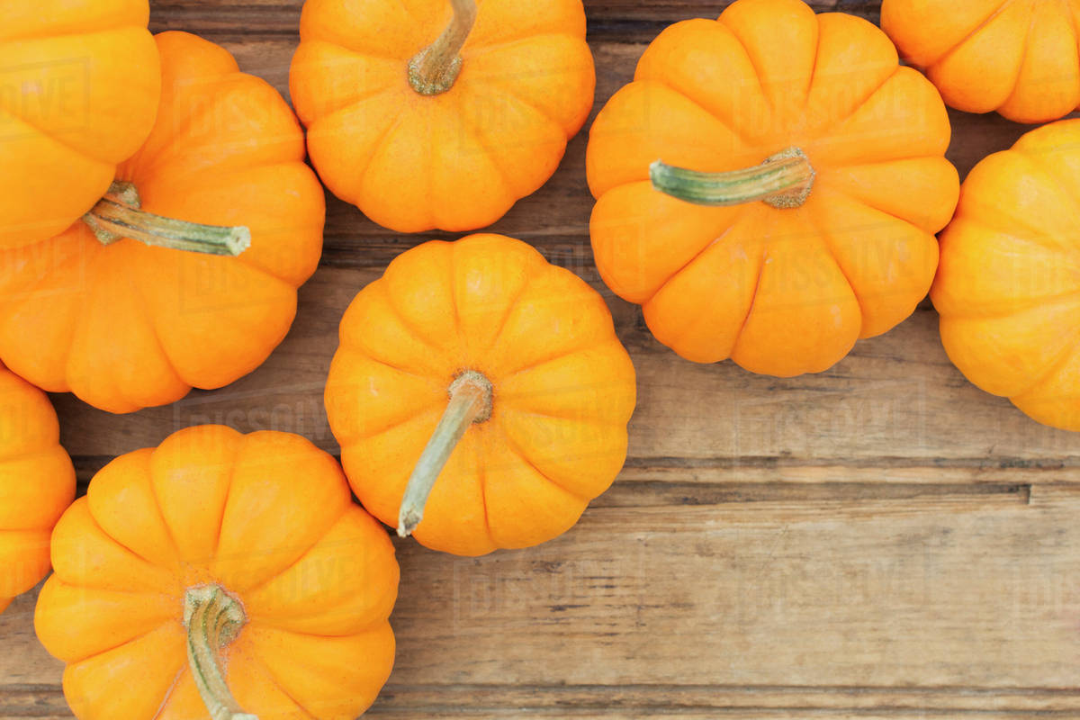 Overhead view of yellow pumpkins Stock Photo Dissolve