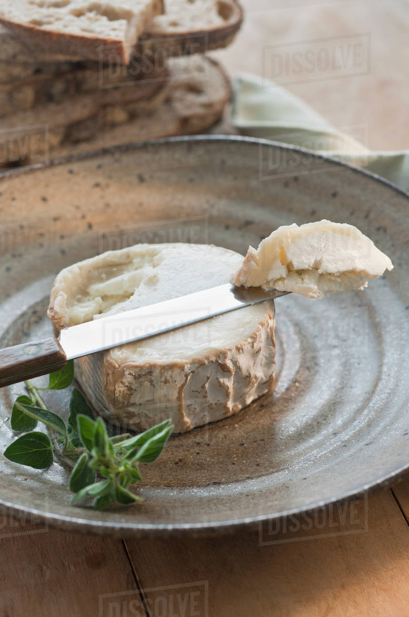 Brie cheese on plate Stock Photo Dissolve