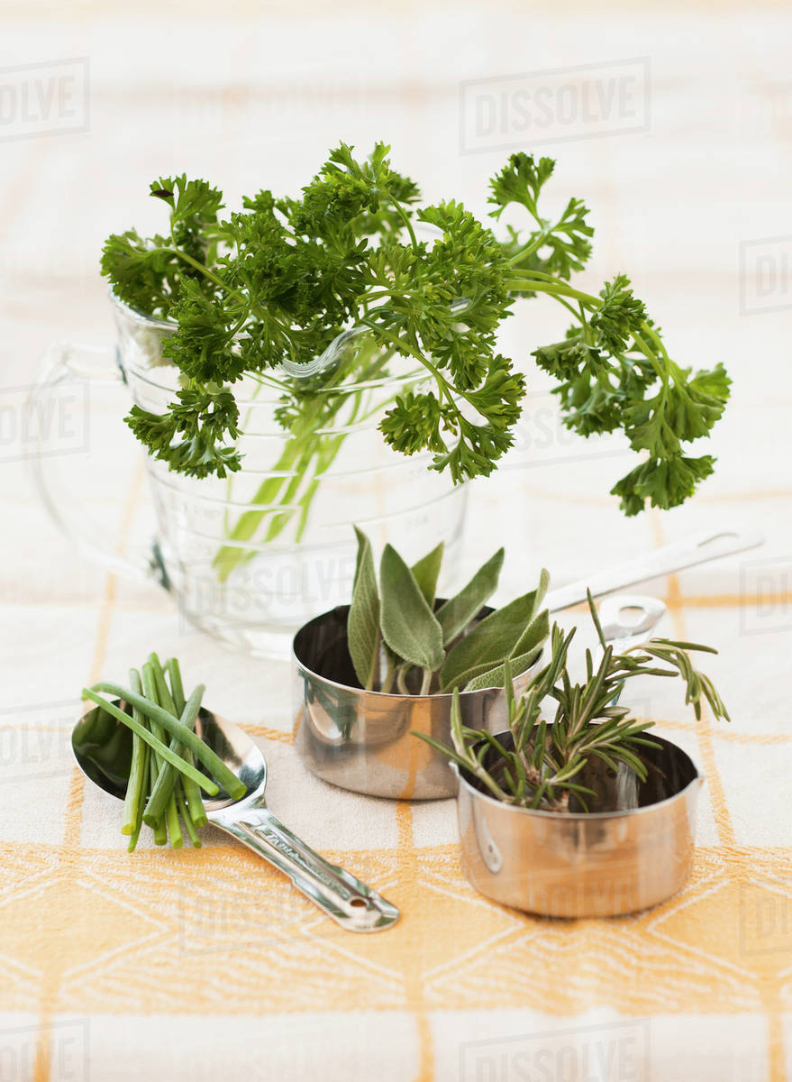 Fresh rosemary and parsley Stock Photo Dissolve