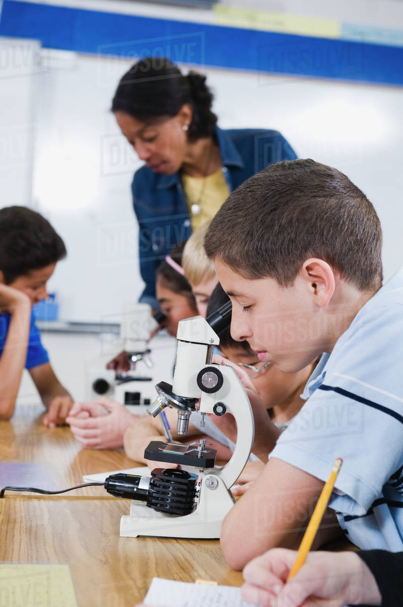 Elementary students using microscopes Stock Photo Dissolve