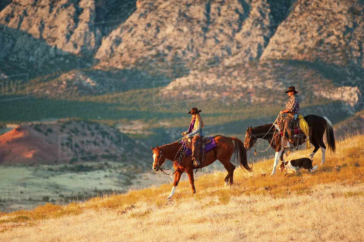 Horseback riders Stock Photo Dissolve