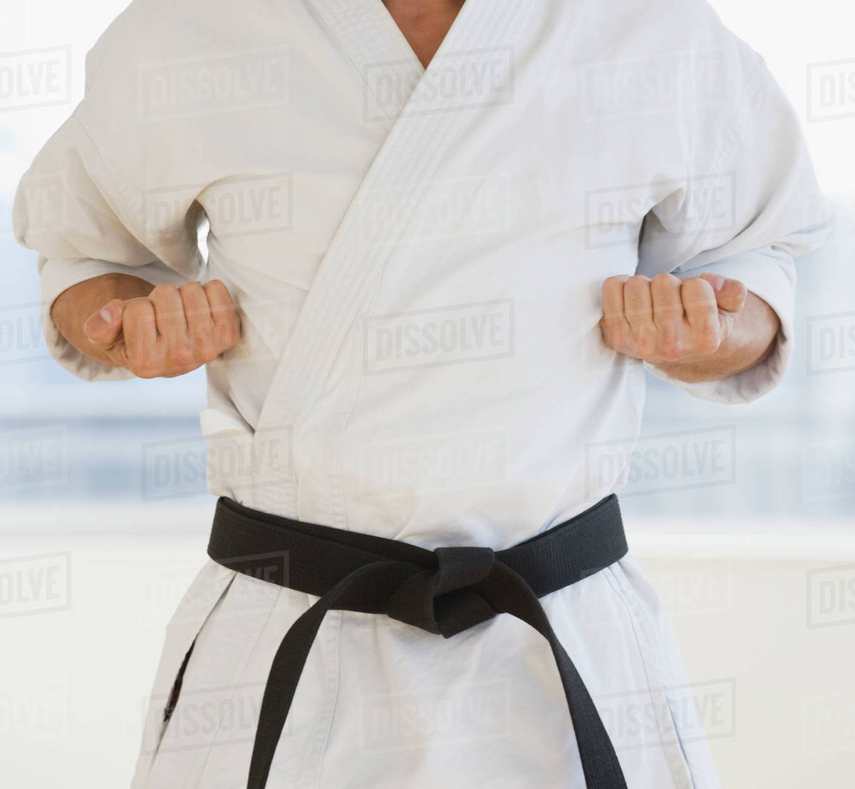 Male karate black belt in fighting stance Stock Photo Dissolve