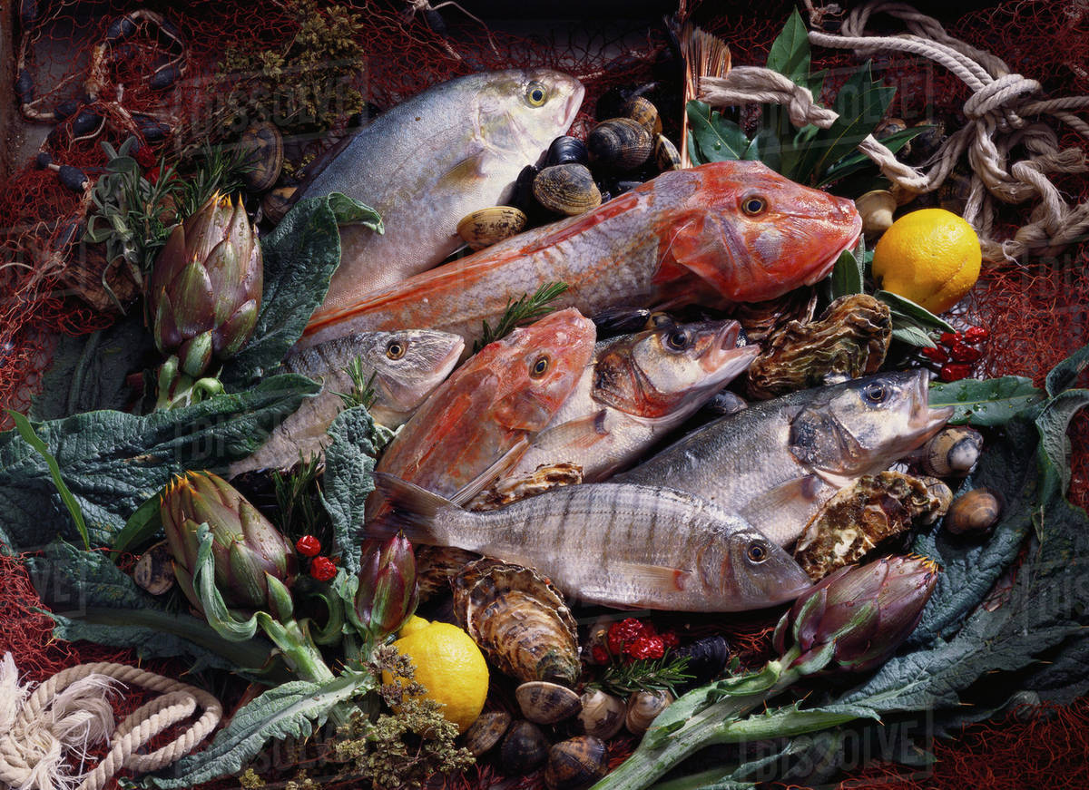 Still life with fish, shellfish and vegetables - Royalty-free Stock ...