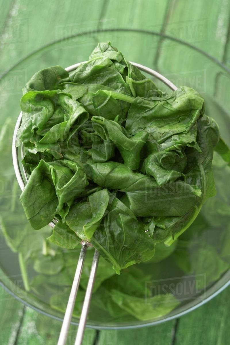 Blanched spinach in strainer Stock Photo Dissolve