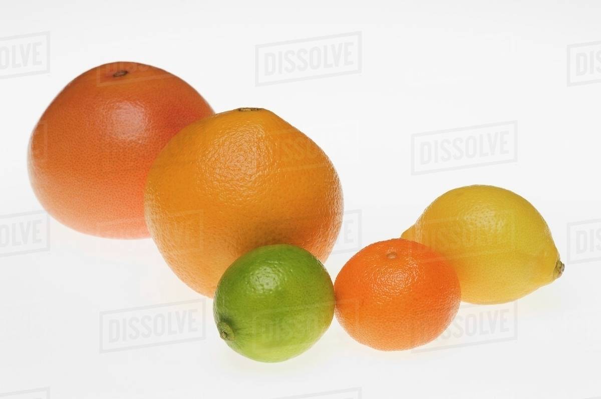 Various types of citrus fruit Stock Photo Dissolve
