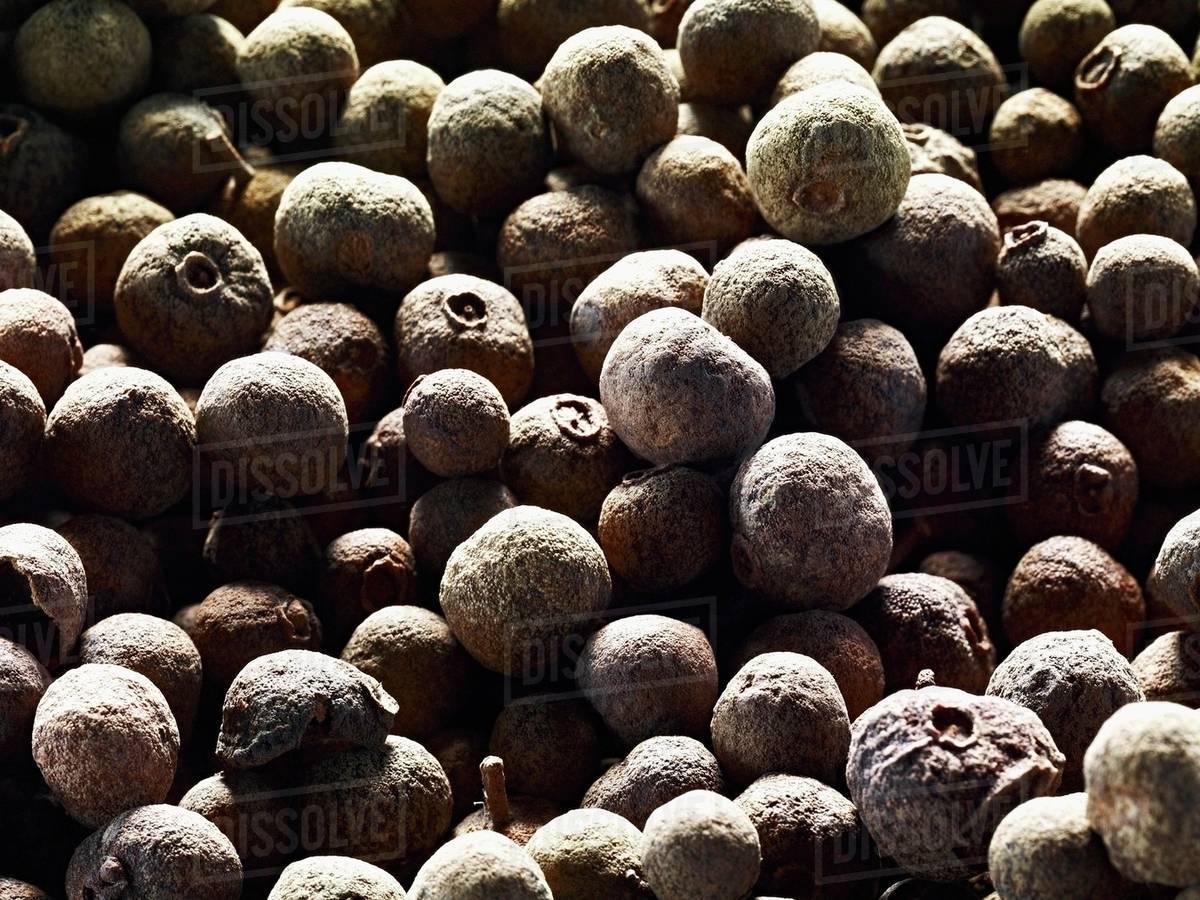 Allspice berries from Guatemala Stock Photo Dissolve