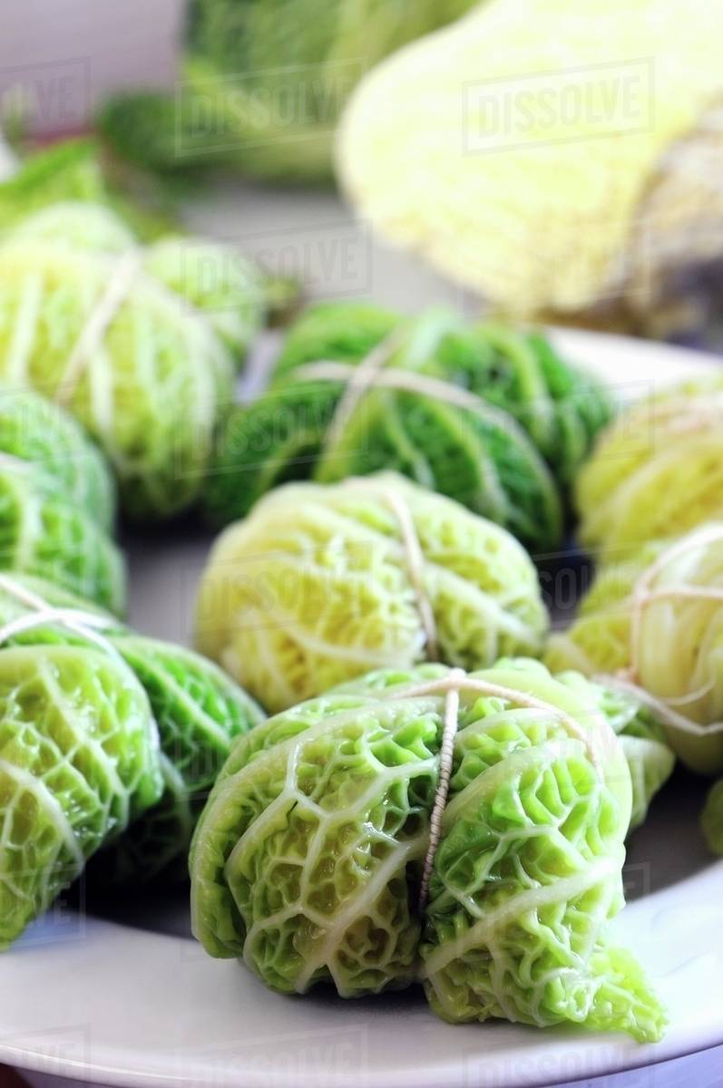 Savoy cabbage parcels (raw) Stock Photo Dissolve