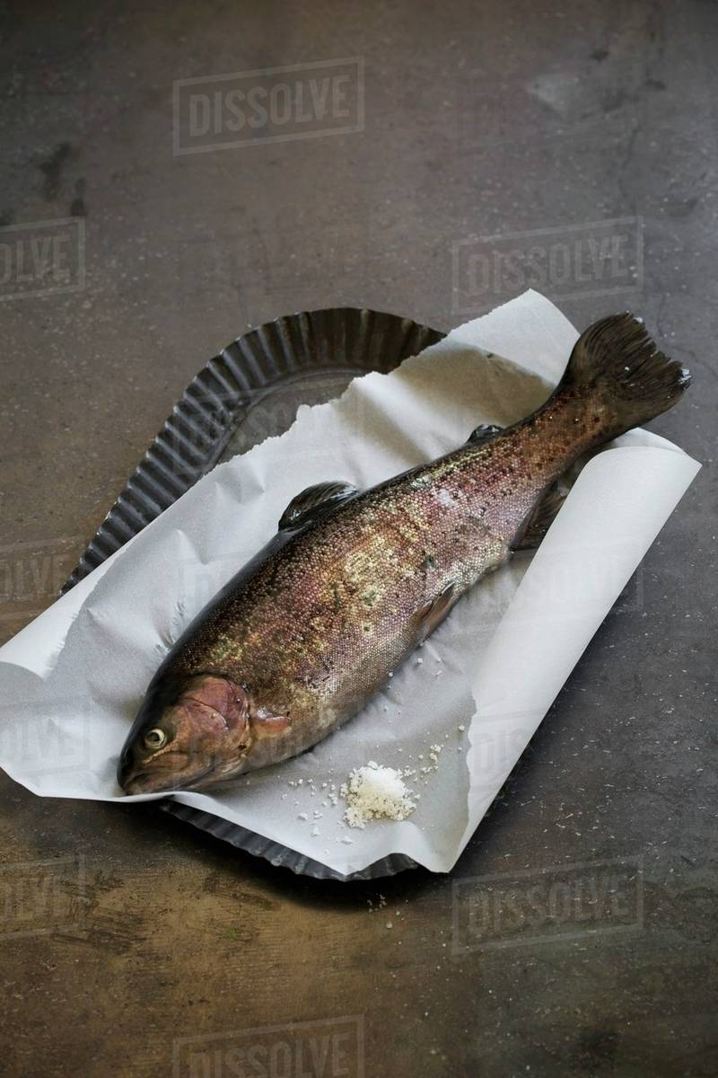 Trout on a piece of parchment paper Stock Photo Dissolve