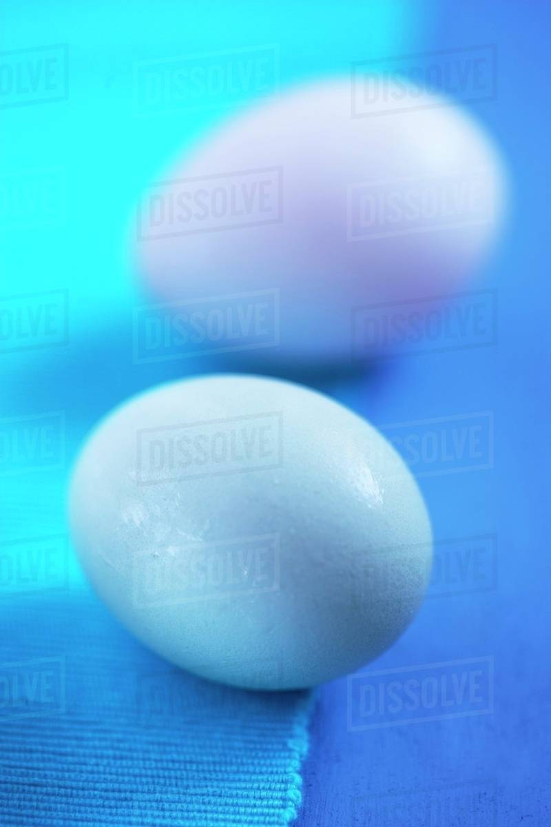 Two duck eggs on a blue surface Stock Photo Dissolve