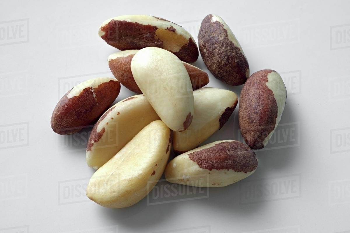 Shelled Brazil nuts Stock Photo Dissolve