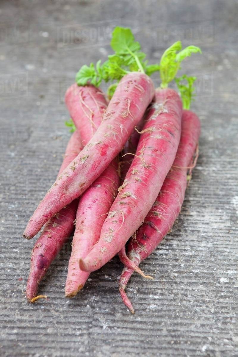 Red carrots Stock Photo Dissolve