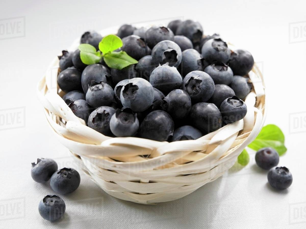 Blueberries in a basket - Stock Photo - Dissolve