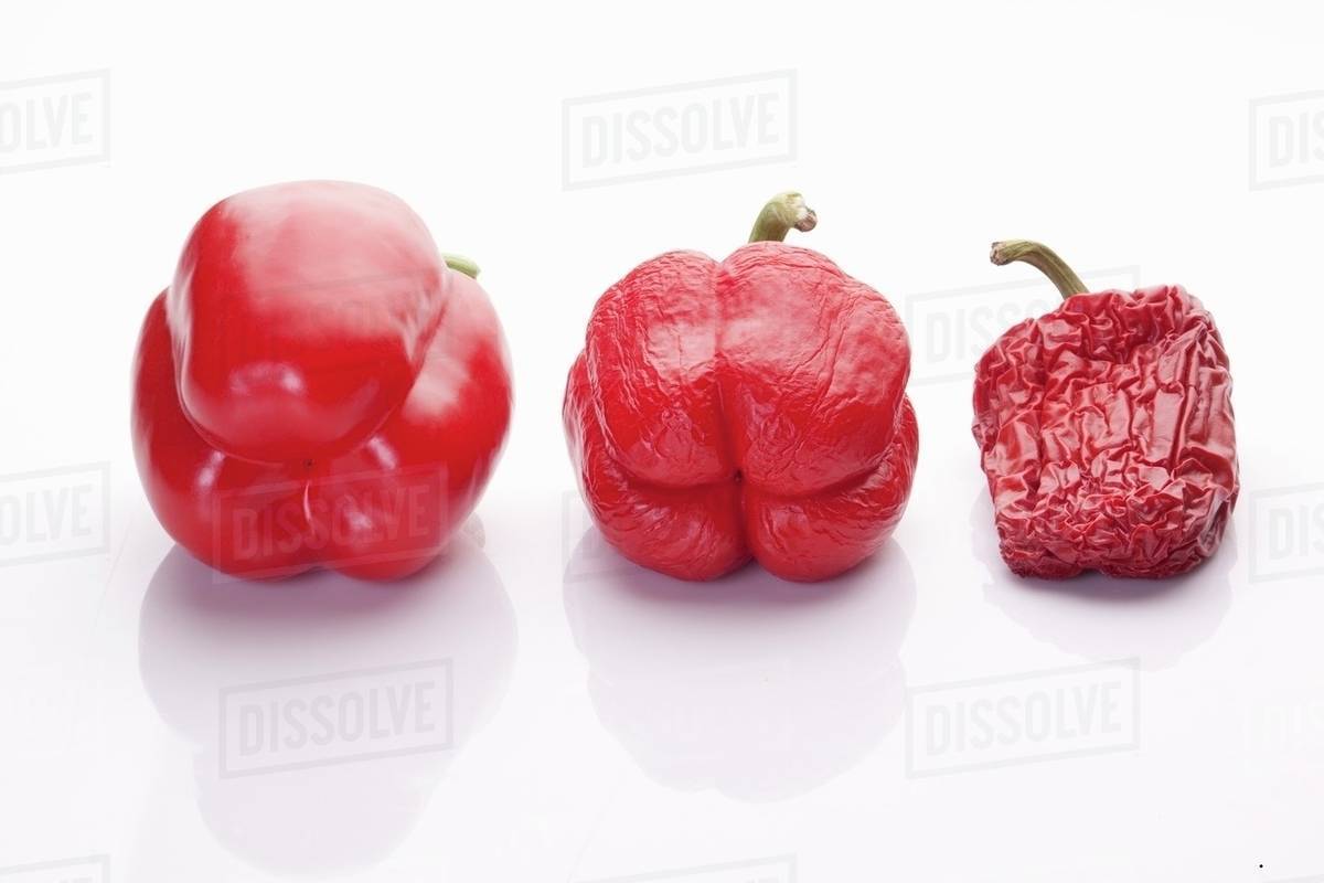 Bell peppers, fresh to dried Stock Photo Dissolve