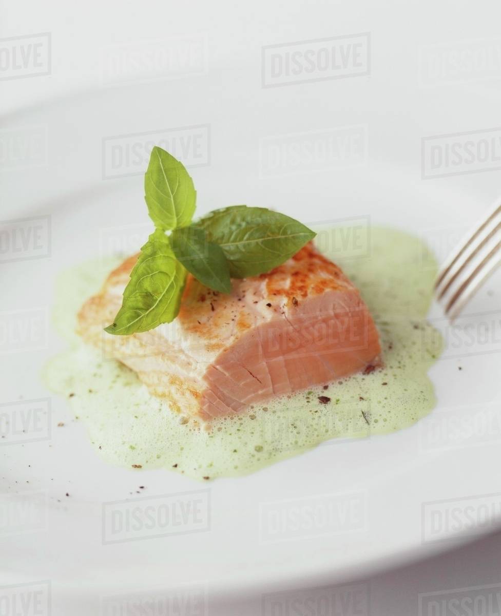 Salmon fillet on basil foam Stock Photo Dissolve