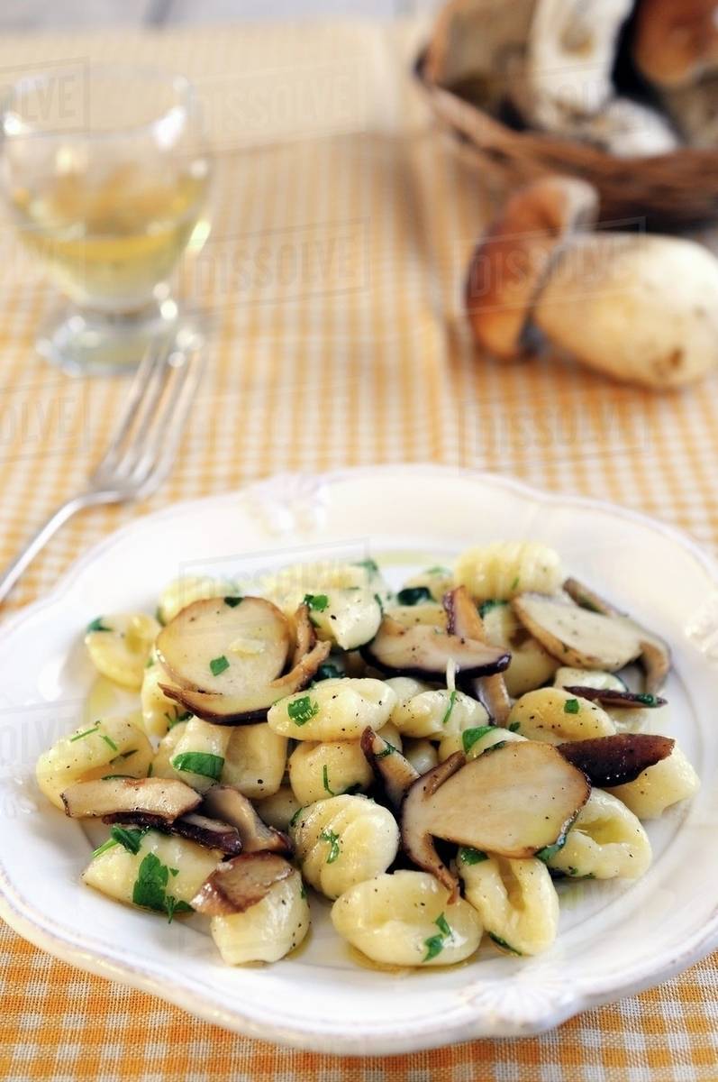 Gnocchi with porcini mushrooms Stock Photo Dissolve
