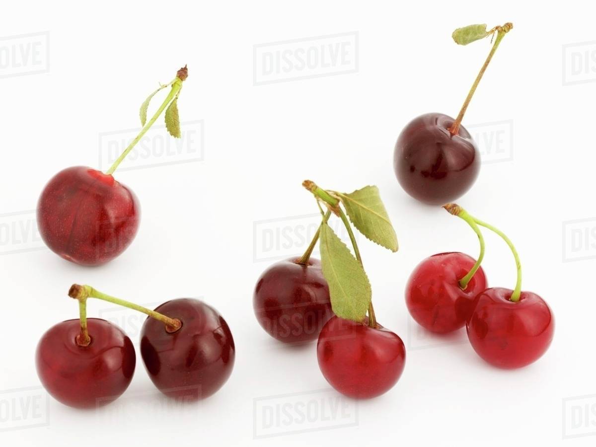 Several cherries and pairs of cherries Stock Photo Dissolve