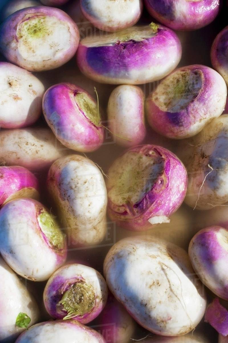 Turnips in water Stock Photo Dissolve