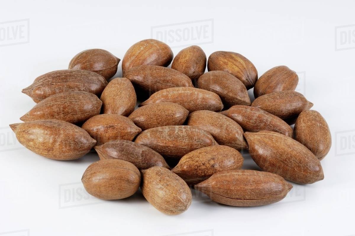 Pecans in their shells Stock Photo Dissolve