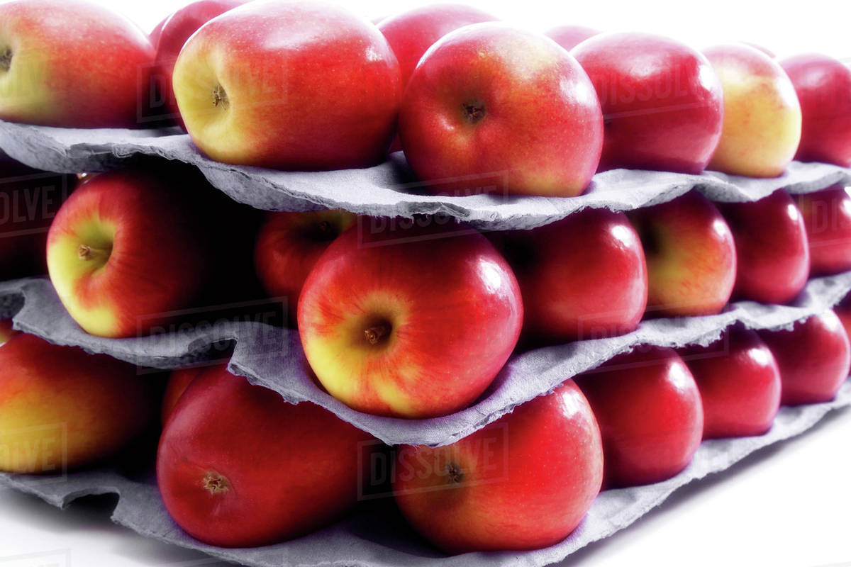 Fresh apples, variety Jazz Stock Photo Dissolve