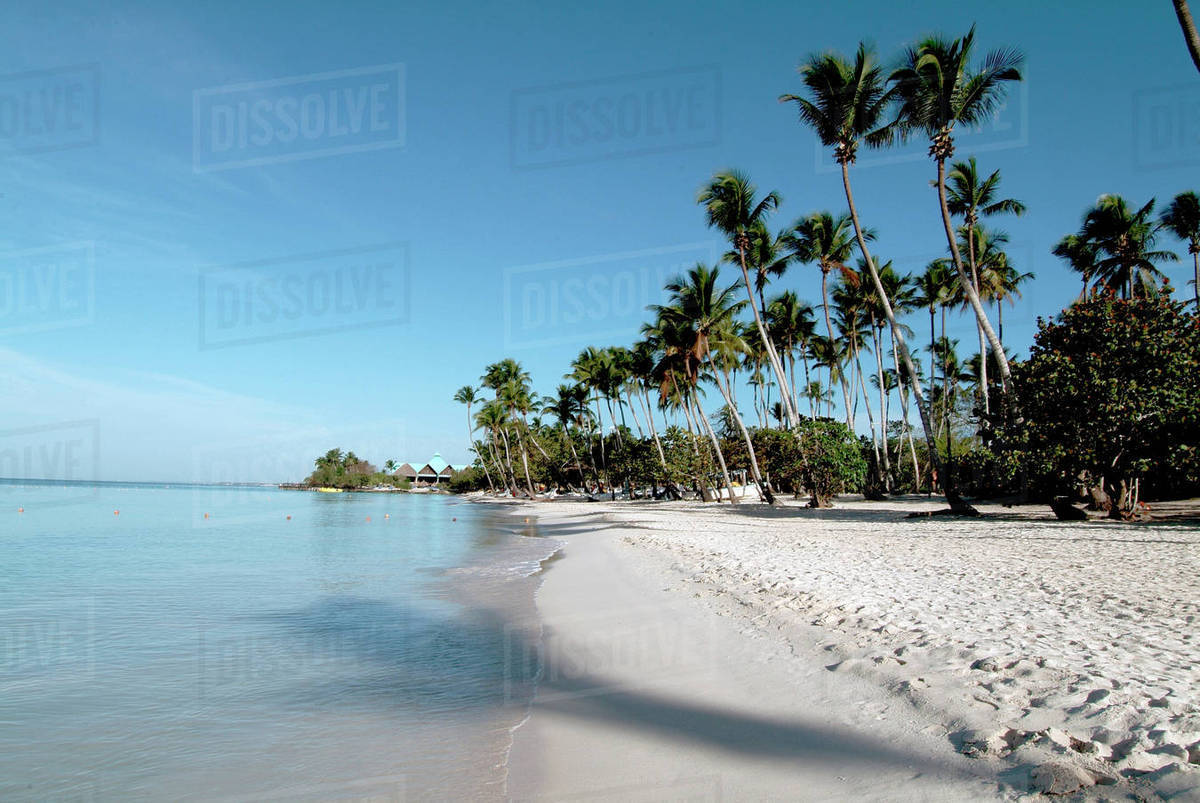 Beach At Bayahibe Dominican Republic Stock Photo Dissolve Beach At Bayahibe Dominican Republic