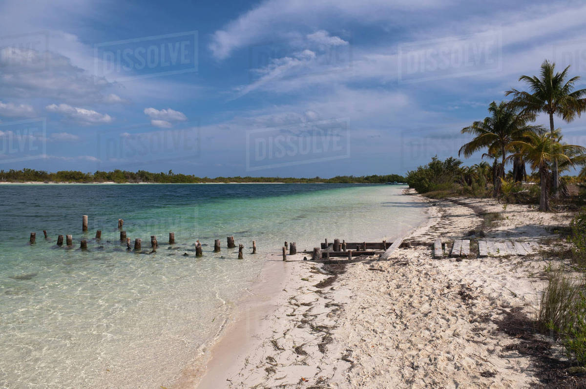 Beach, Cayo Largo, Canarreos Archipelago, Cuba Stock Photo Dissolve