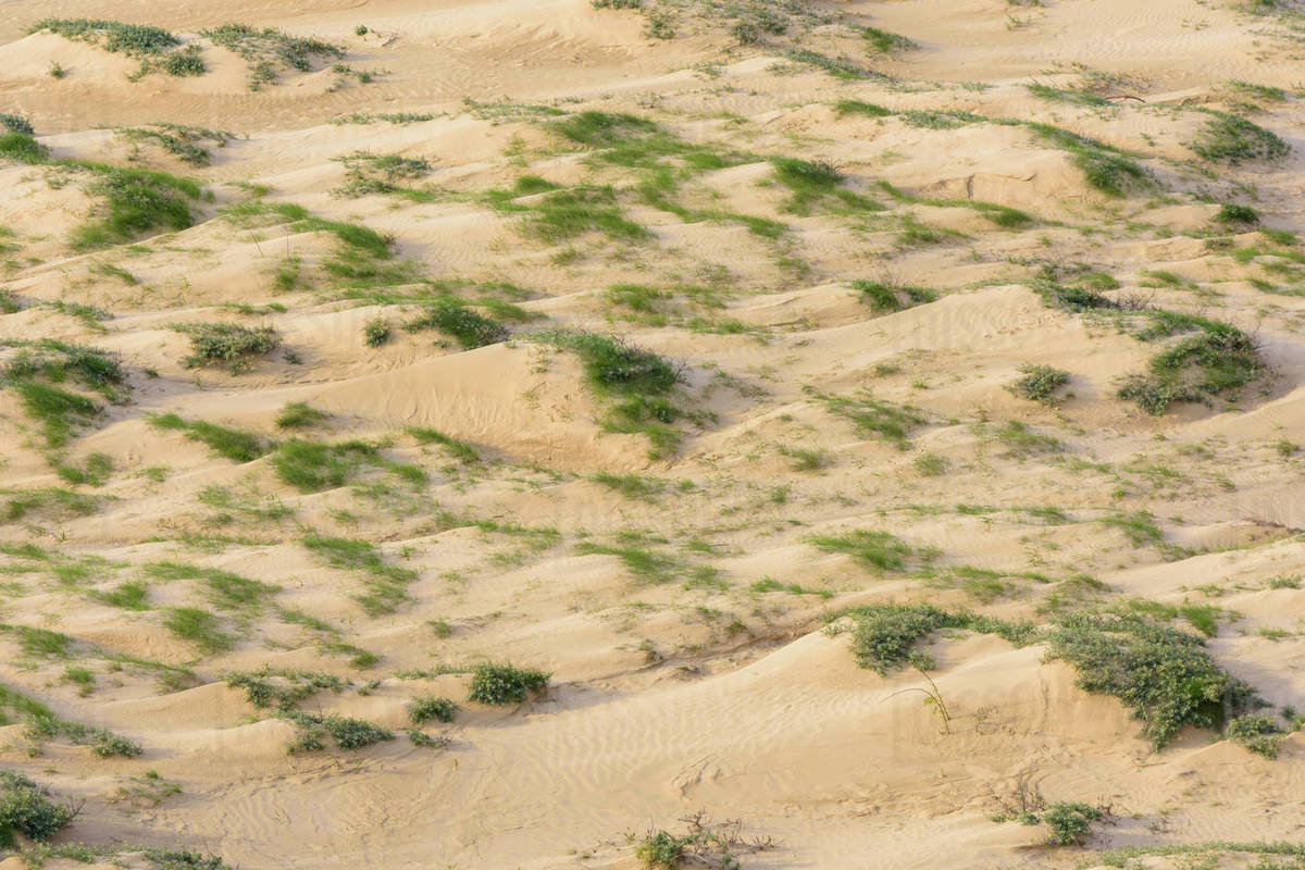 Aerial view of Sand Dunes, Rubjerg Knude, Lokken, North Jutland, Denmark Royalty-free stock photo