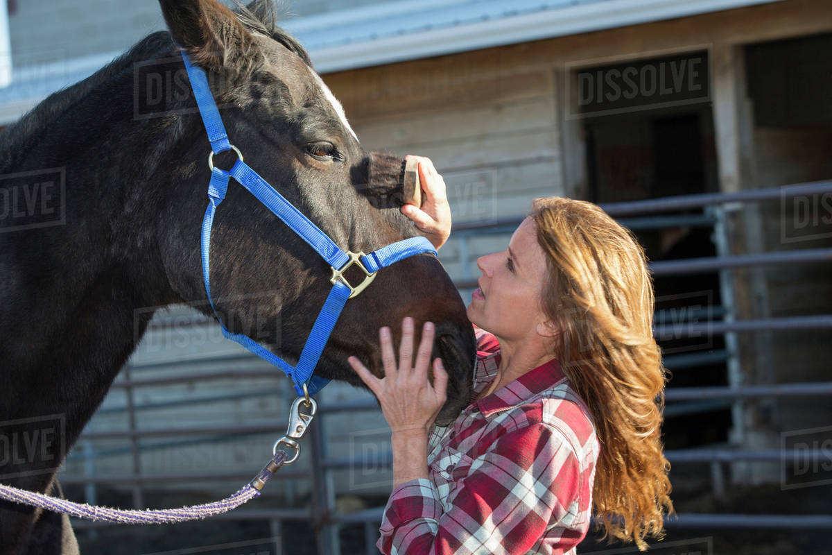 Caucasian woman grooming horse on ranch Stock Photo Dissolve