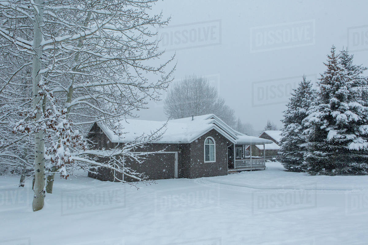 House and snowy front yard Stock Photo Dissolve