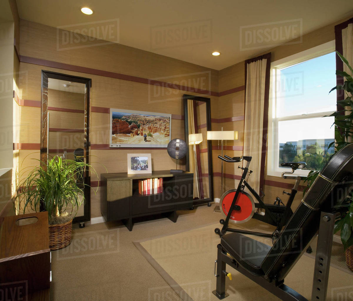 Workout Room With Large Mirrors Stock Photo
