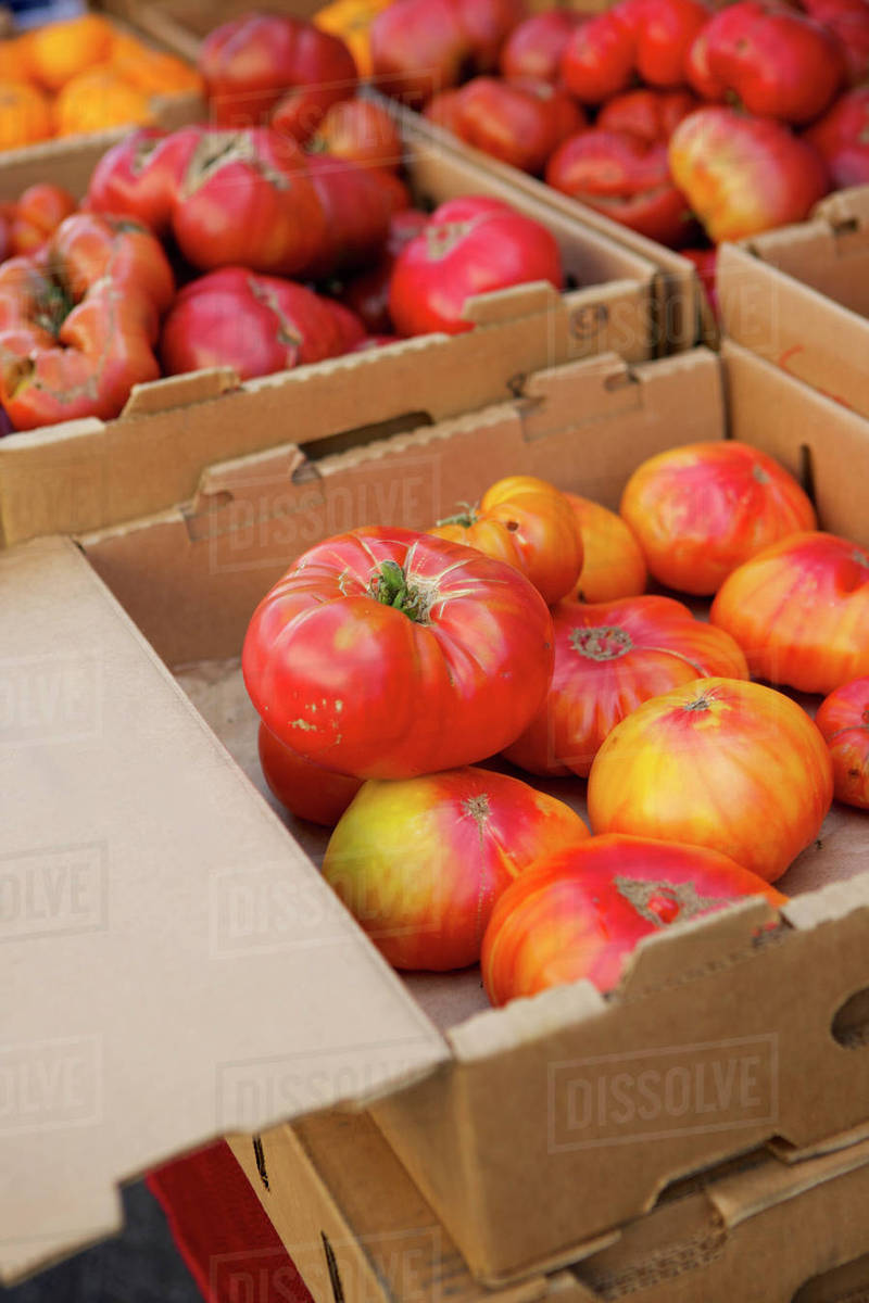 Crates of varieties of fresh tomatoes Stock Photo Dissolve