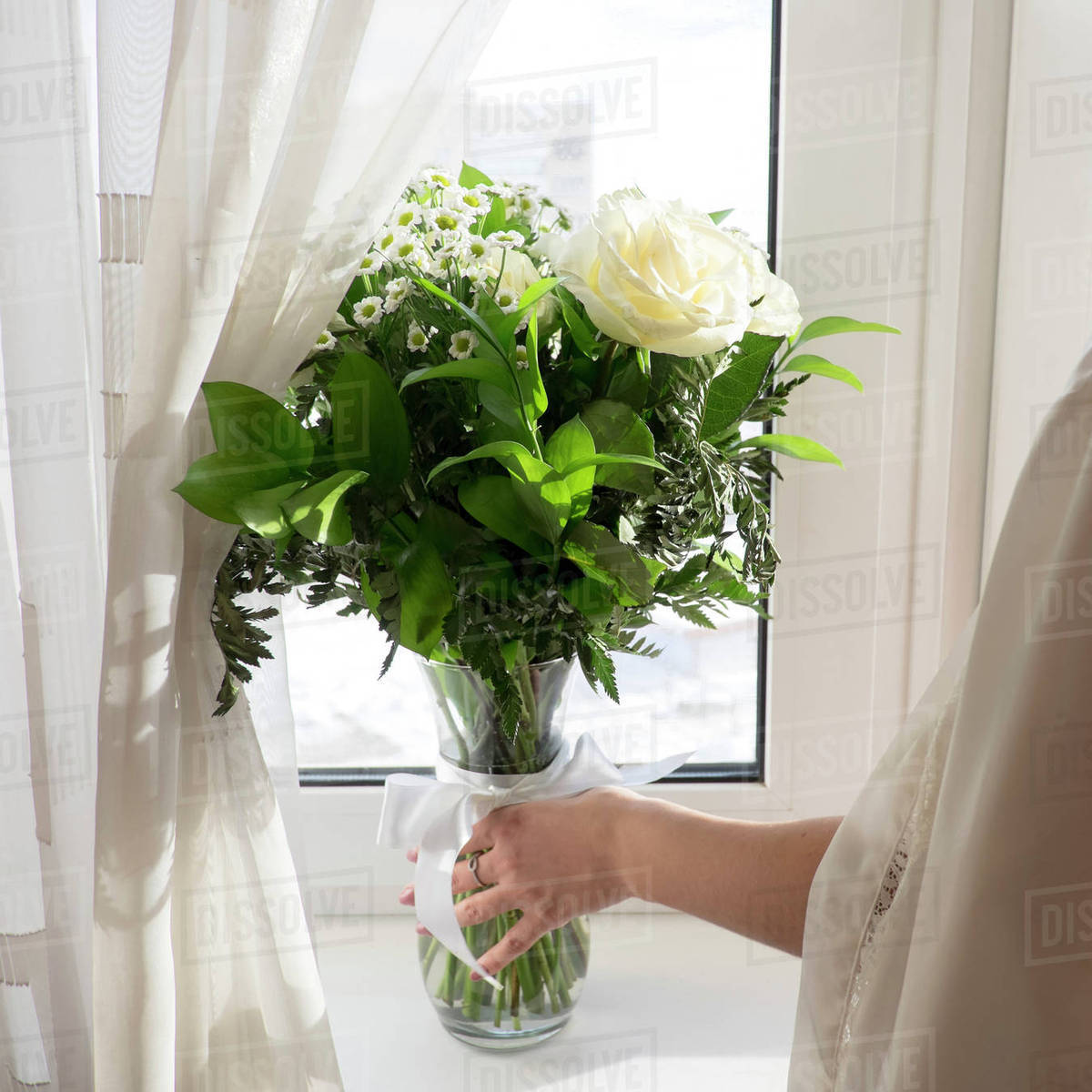 Woman placing vase of flowers on window sill Stock Photo Dissolve