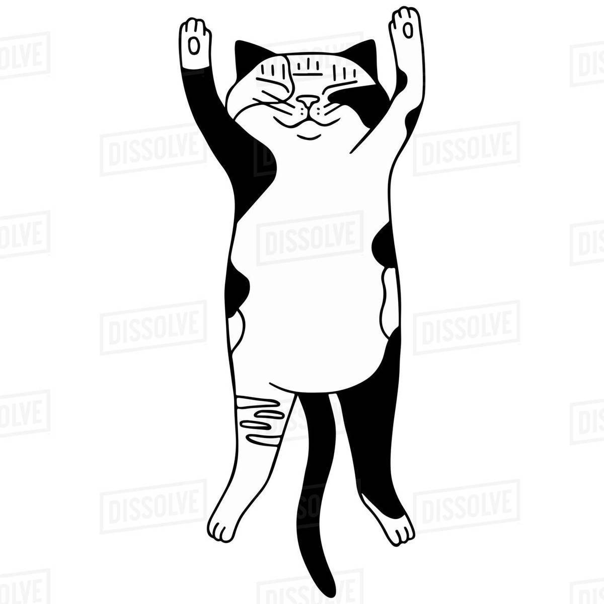 Illustration of a cat lying on back against white background Royalty-free stock photo