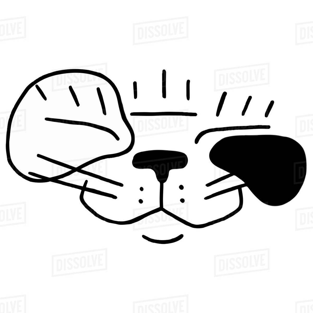 Illustration of a cat face isolated on white background Royalty-free stock photo