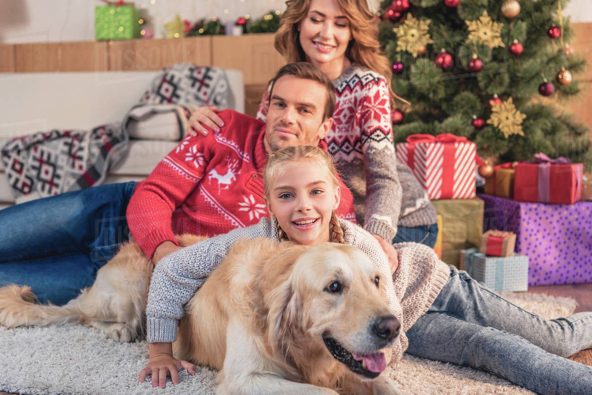 Happy family with golden retriever dog lying near christmas tree at home stock photo