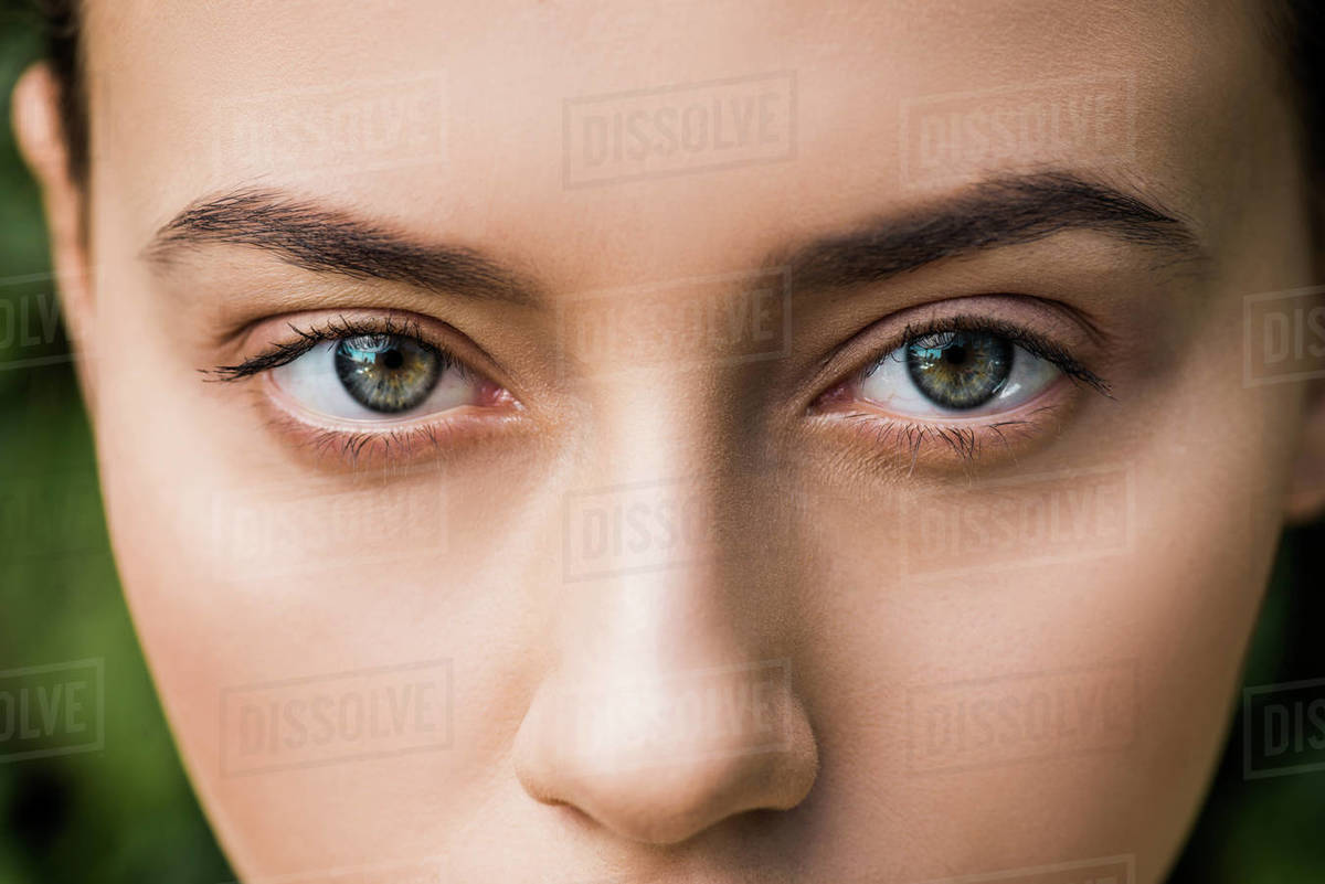 Close up of bright woman eyes looking at camera Stock Photo Dissolve