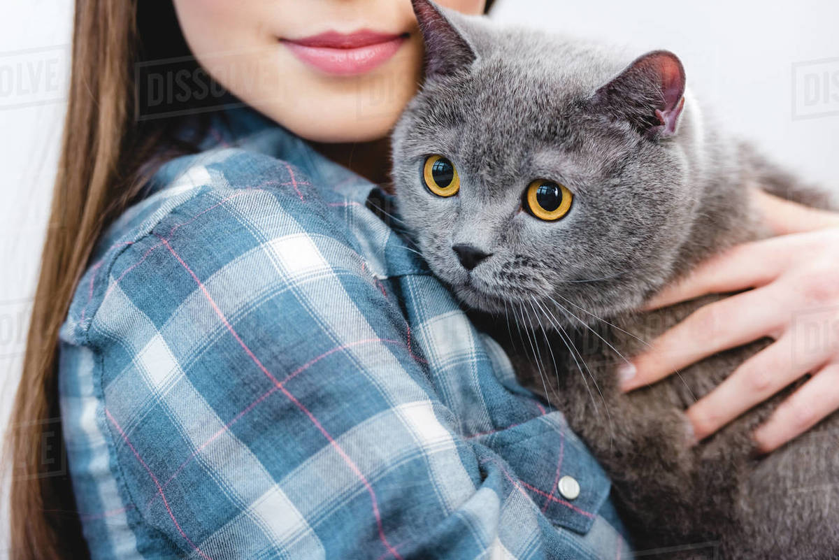 Cropped Shot Of Young Woman Holding Beautiful Grey British