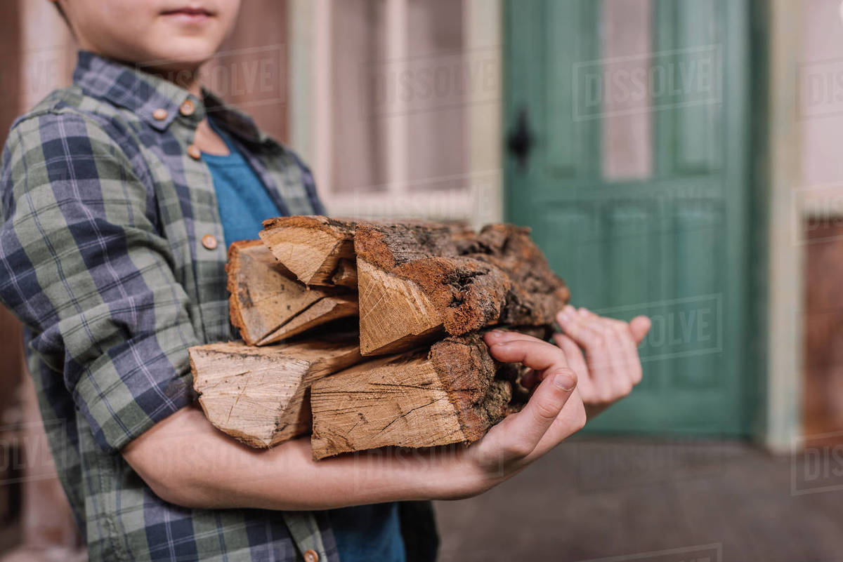 Close up of kid boy collecting wood logs at backyard, cooking Stock