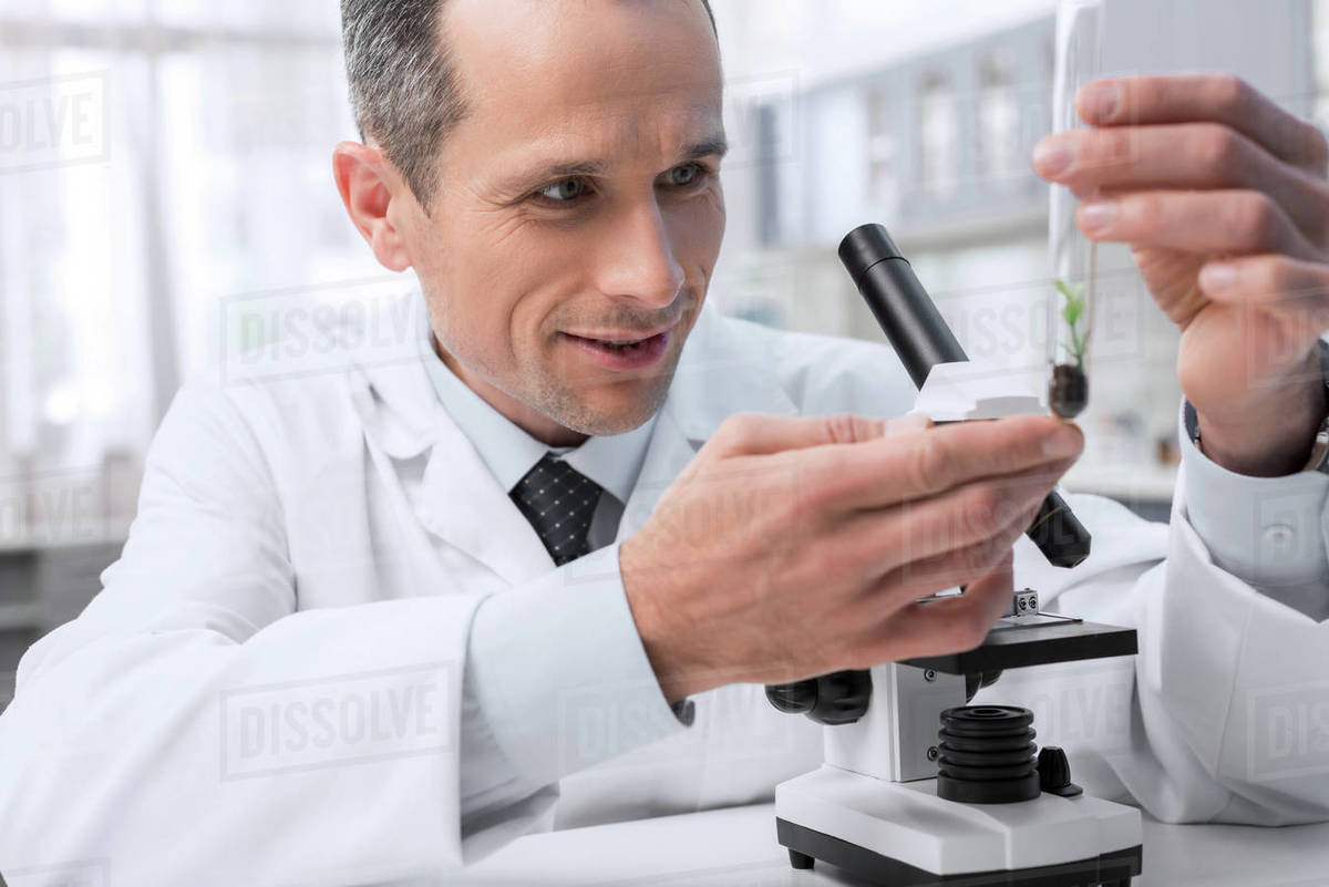 Smiling lab technician examining sample of plant in test tube for ...